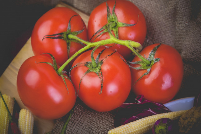 Обои картинки фото еда, помидоры, томаты