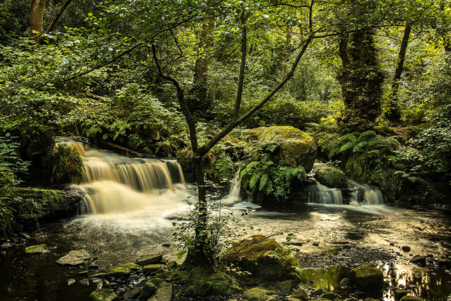 Обои картинки фото природа, водопады, водопад, река, лес