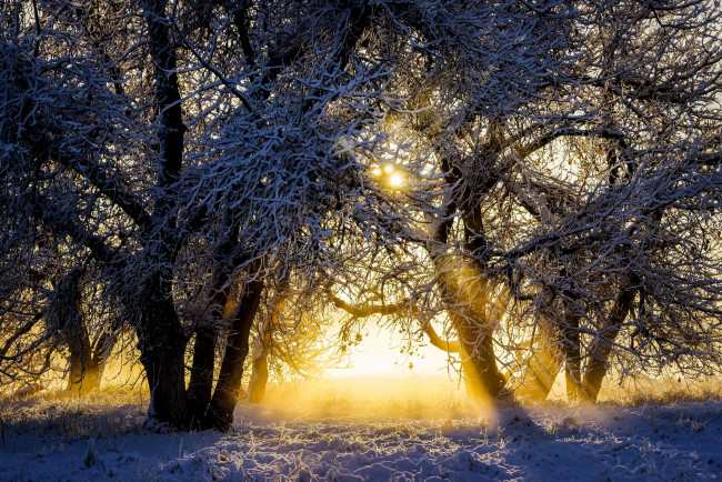 Обои картинки фото природа, восходы, закаты, рассвет