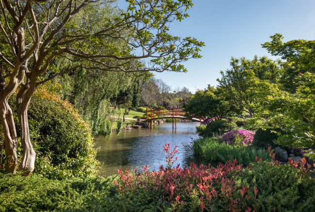 Обои картинки фото природа, парк, река, лес