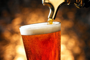 Картинка еда напитки +пиво бокал пиво пена