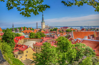обоя old town,  tallinn,  estonia, города, таллин , эстония, простор