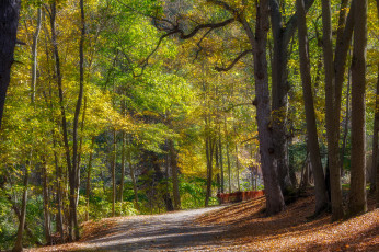 Картинка природа дороги простор