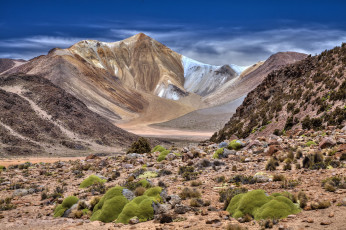 Картинка природа пустыни простор