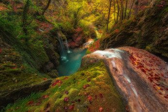 Картинка природа реки озера простор