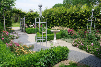 Картинка природа парк клумбы