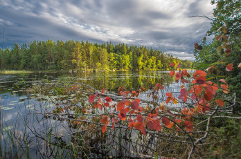 Картинка природа реки озера простор