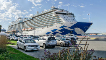 Картинка regal+princess корабли лайнеры лайнер круиз