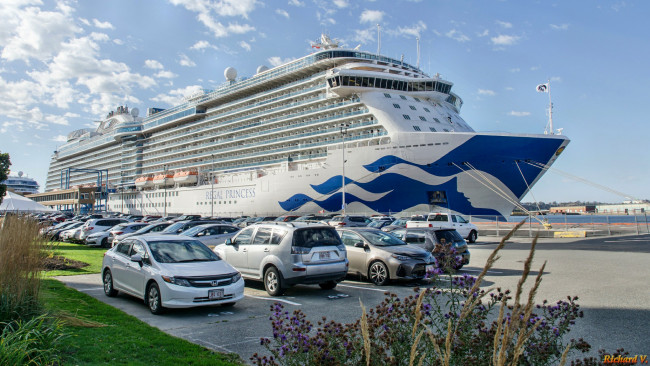 Обои картинки фото regal princess, корабли, лайнеры, лайнер, круиз