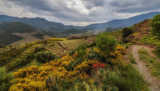 Обои картинки фото природа, пейзажи, простор