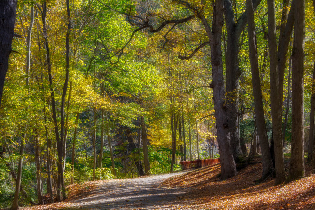 Обои картинки фото природа, дороги, простор