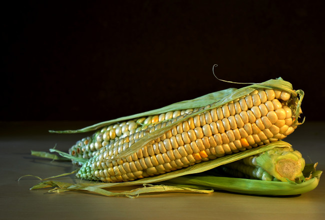 Обои картинки фото еда, кукуруза, снедь