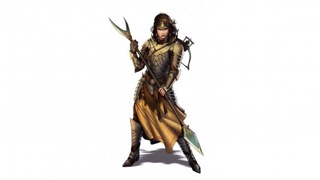 Обои картинки фото видео игры, pathfinder roleplaying game, девушка, фон, взгляд, униформа, копье