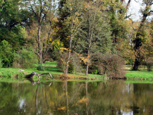 Картинка природа реки озера река