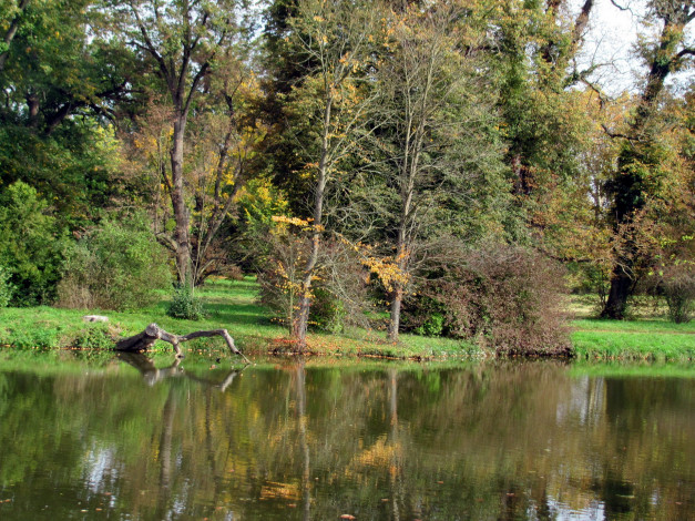 Обои картинки фото природа, реки, озера, река