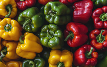 обоя еда, перец, красаный, желтый, зеленый, макро