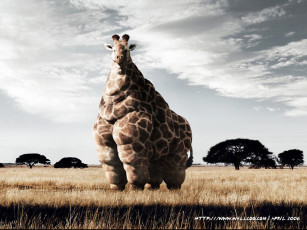 Картинка юмор приколы