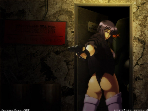 Обои картинки фото аниме, ghost, in, the, shell