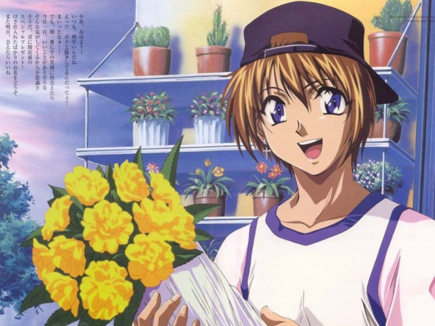 Обои картинки фото аниме, weiss, kreuz