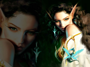 Картинка фэнтези эльфы