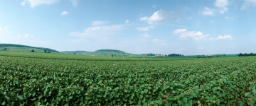 Картинка природа