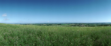 Картинка природа