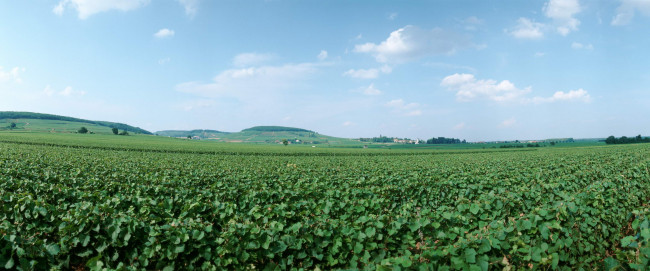 Обои картинки фото природа