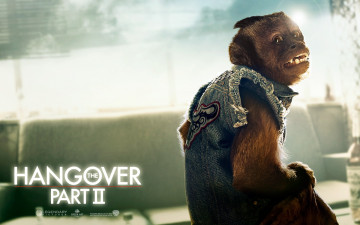 обоя the, hangover, part, ii, кино, фильмы