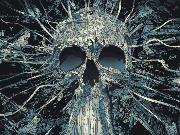 Обои картинки фото векторная, графика, череп