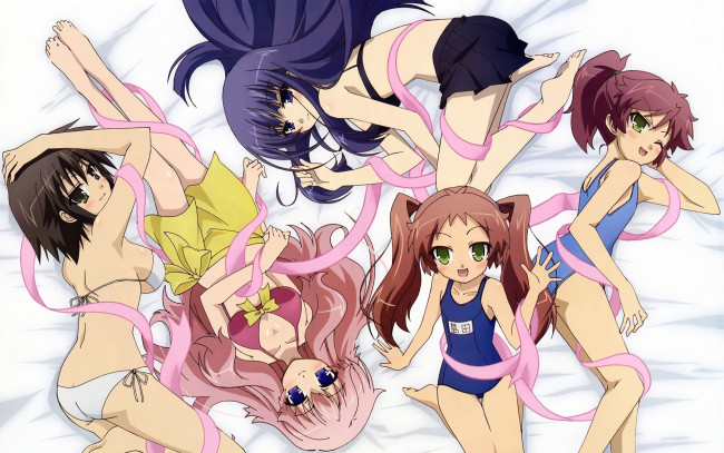 Обои картинки фото аниме, baka, to, test, shoukanjuu