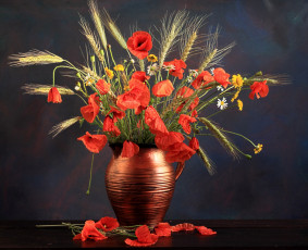 Картинка цветы луговые полевые пшеница ромашки маки кувшин