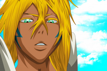 Картинка аниме bleach tia hallibel