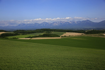 Картинка природа поля деревья небо