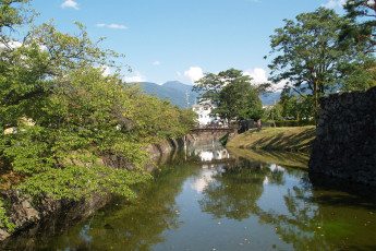 Картинка природа реки озера река деревья