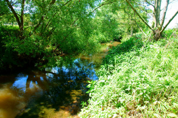 Картинка германия гибольдехаузен природа реки озера река берег кусты