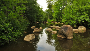 Картинка природа реки озера