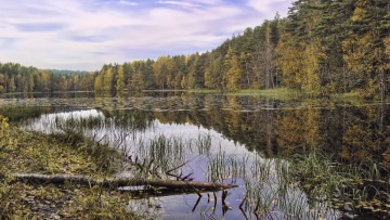 Картинка природа реки озера облака вода лес