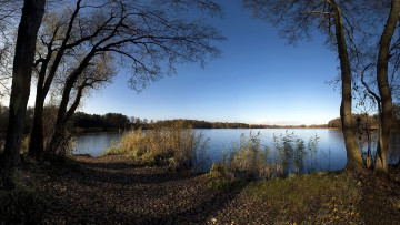 Картинка природа реки озера озеро деревья осока