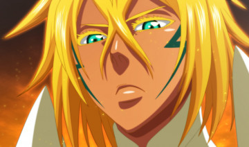 Картинка аниме bleach tia hallibel