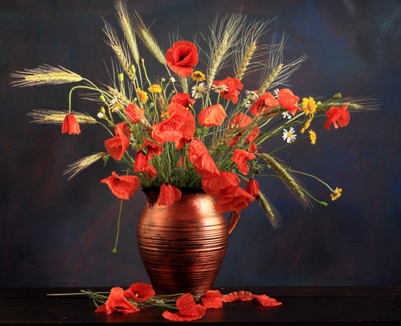 Обои картинки фото цветы, луговые, полевые, пшеница, ромашки, маки, кувшин