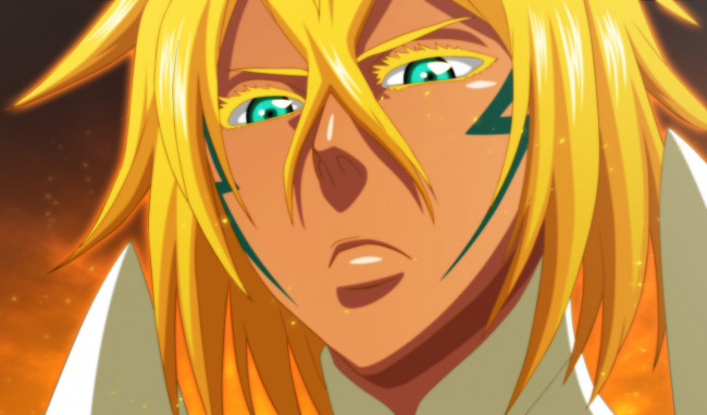 Обои картинки фото аниме, bleach, tia, hallibel