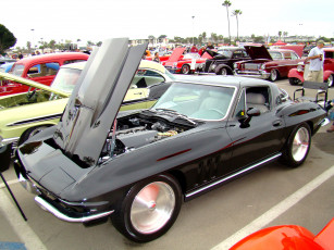 Картинка автомобили выставки уличные фото капот