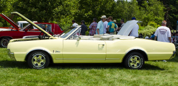 Картинка автомобили выставки уличные фото oldsmobile