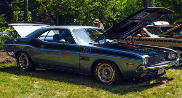 Картинка автомобили выставки уличные фото трава