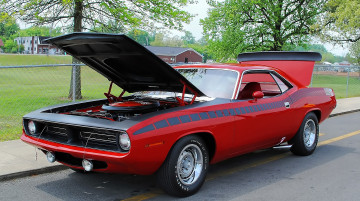 Картинка автомобили выставки уличные фото plymouth