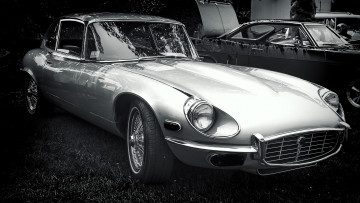 Картинка автомобили выставки уличные фото трава фары