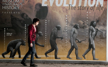 Картинка кино фильмы warm bodies