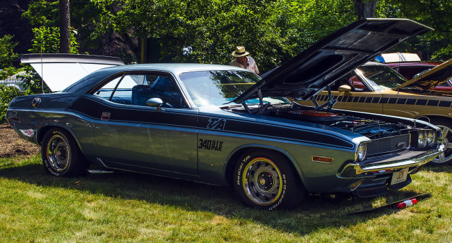 Обои картинки фото автомобили, выставки, уличные, фото, трава