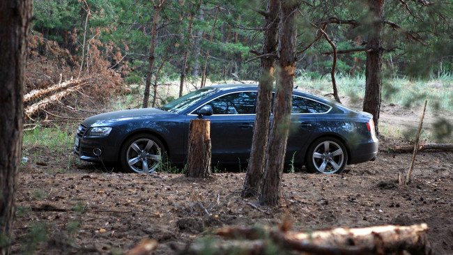 Обои картинки фото audi, a5, автомобили, германия, volkswagen, group