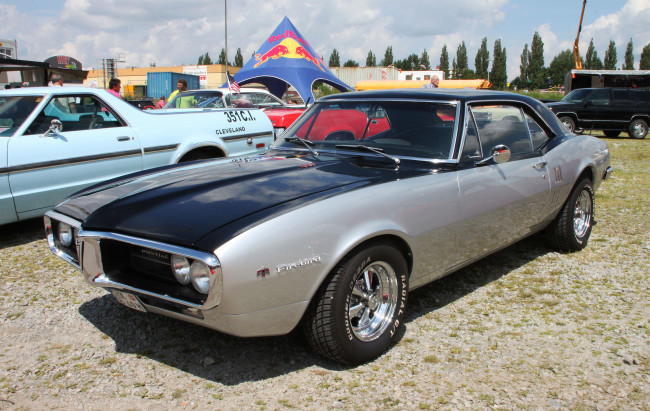 Обои картинки фото автомобили, выставки, уличные, фото, pontiac, firebird